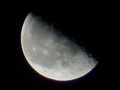 Half-moon.