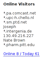 online visitors screenshot